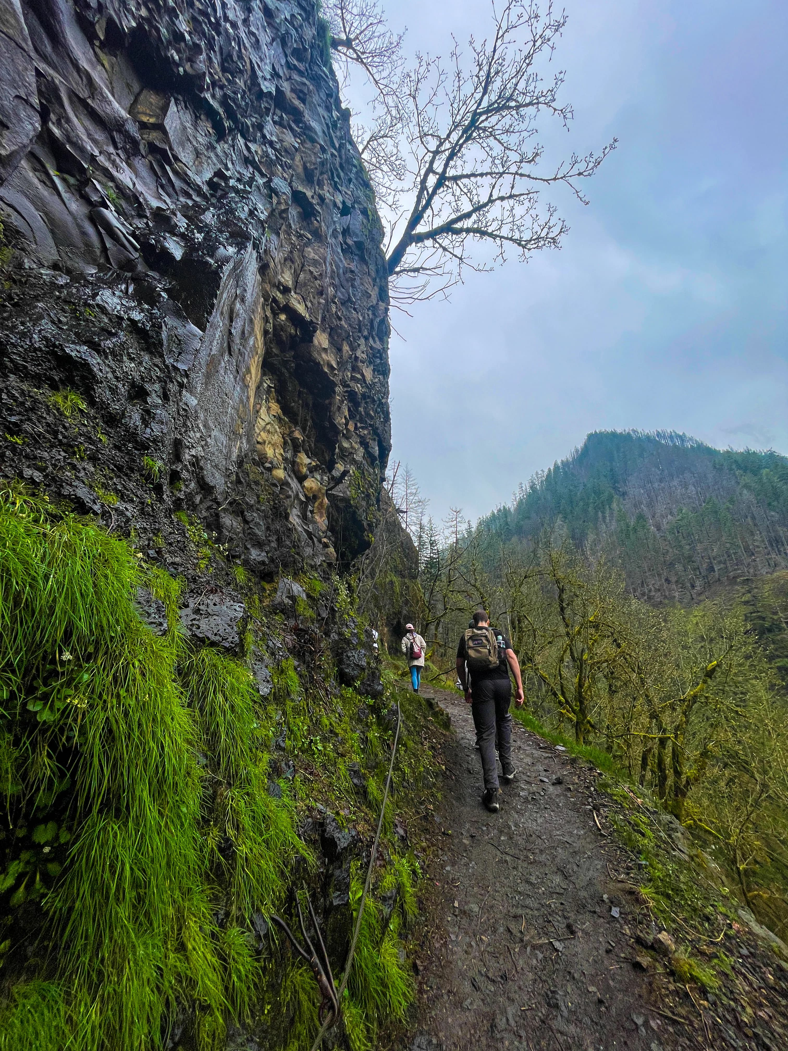 Following the leader