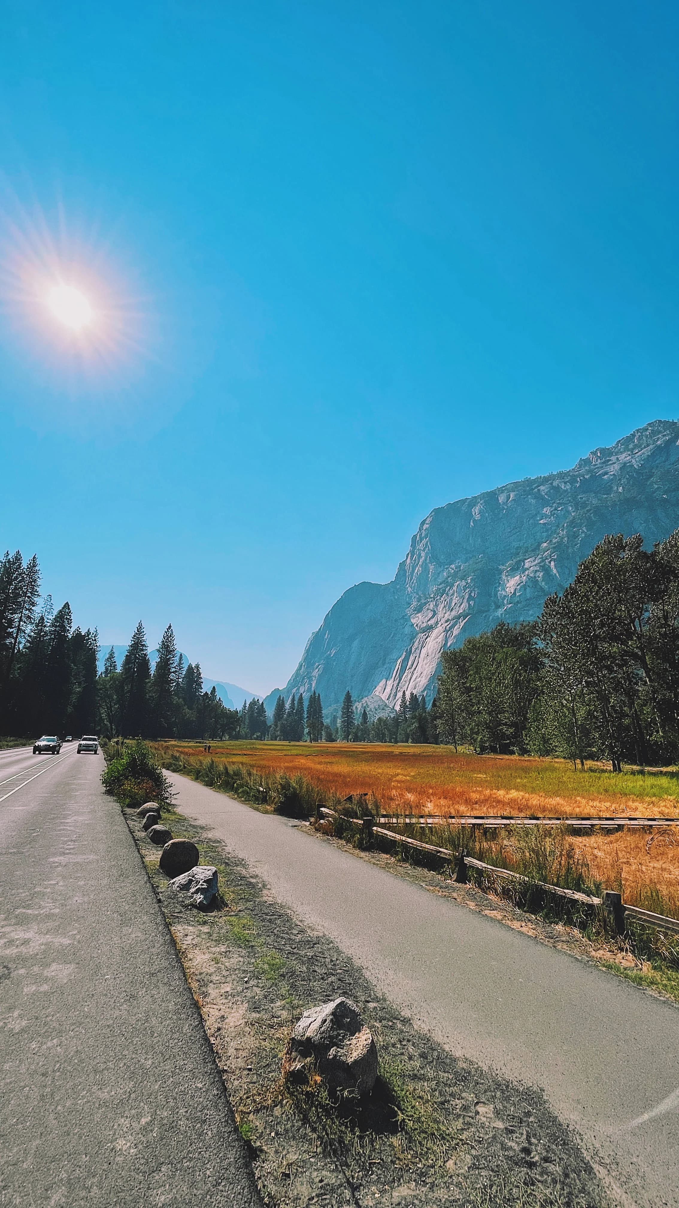 Blue bird @ Yosemite
