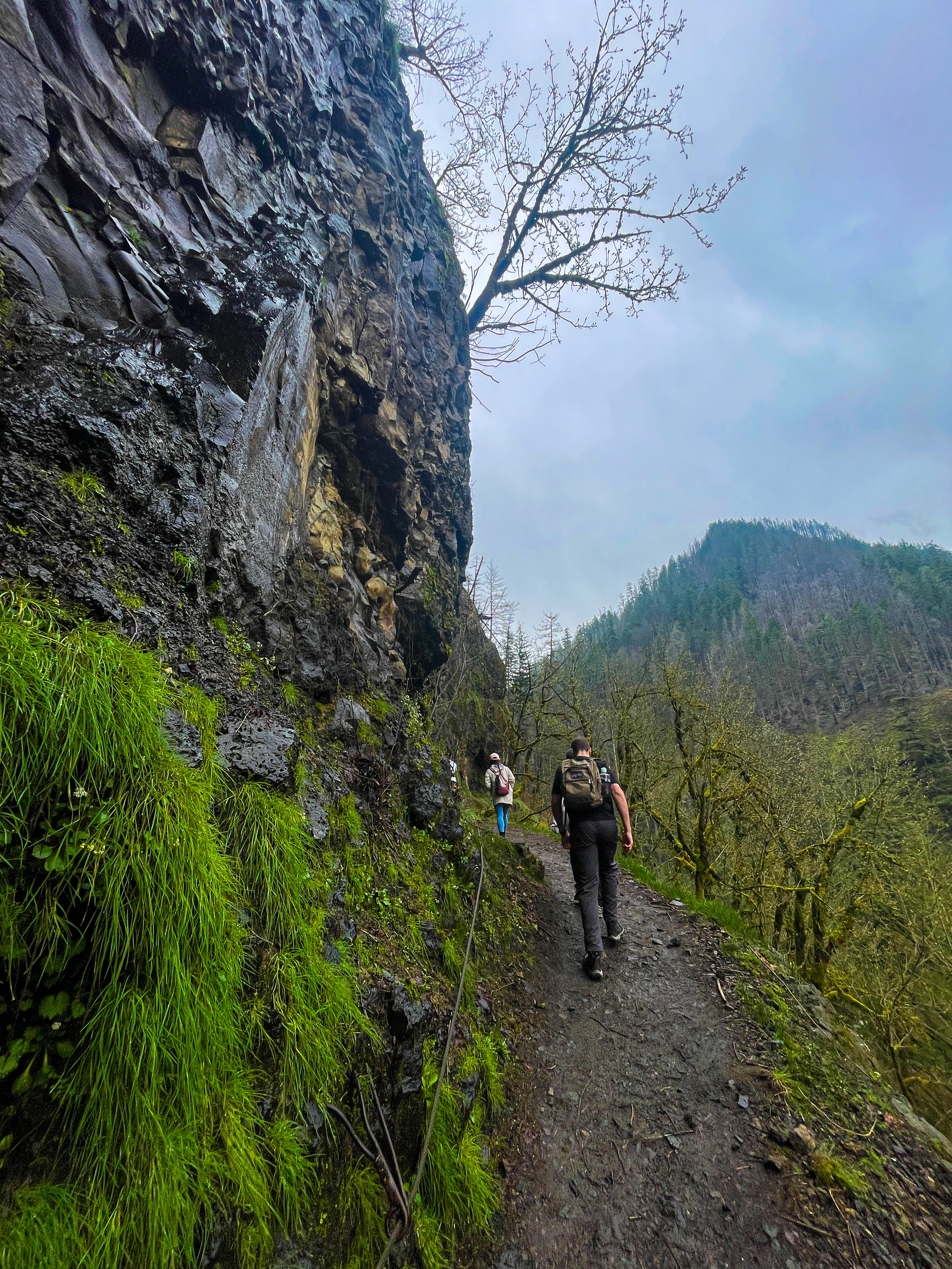 Following the leader