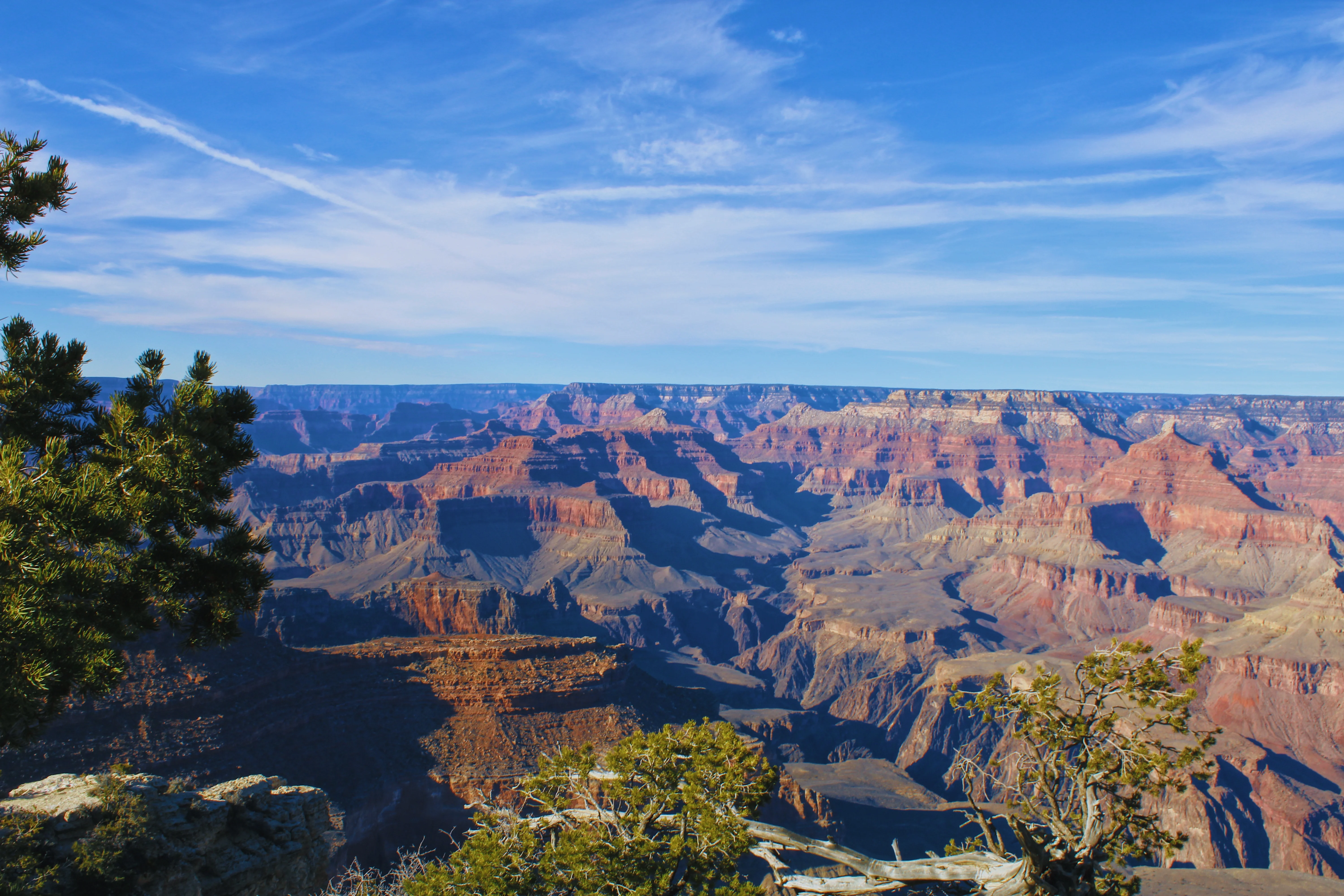The Grand Canyon View
